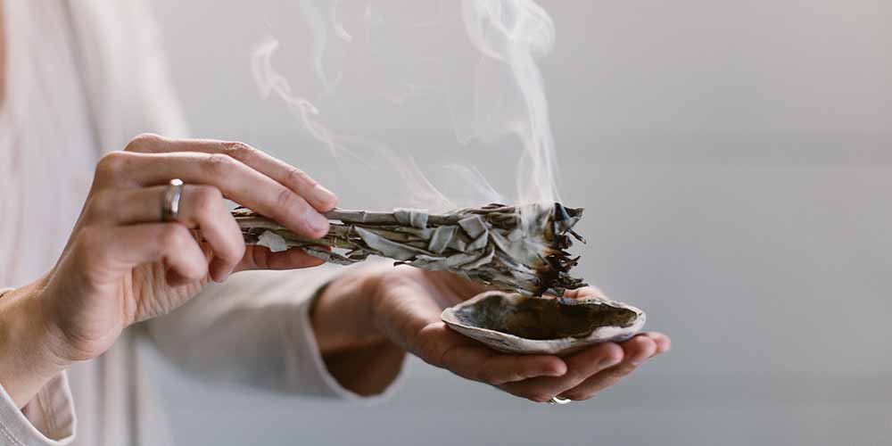 鼠尾草適合你嗎?