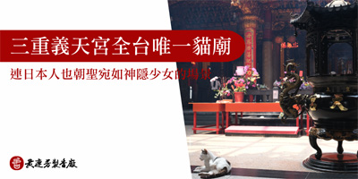 三重義天宮全台唯一貓廟-s
